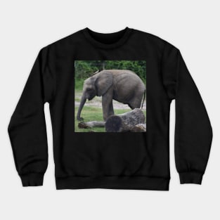 African Elephant Crewneck Sweatshirt